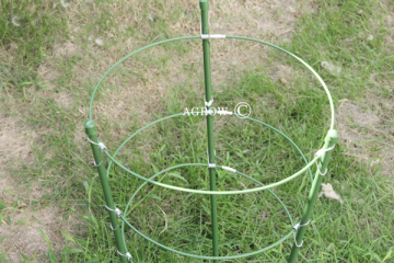 Flower Support With Circle Wire