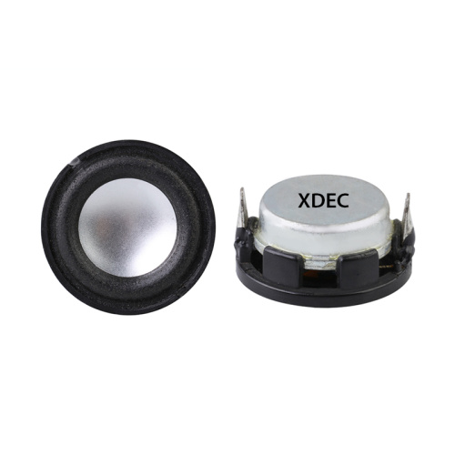 15 years' industry focus 24mm 4Ohm 2W speaker
