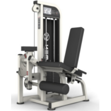 Alternate leg extension machine