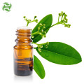 Wholesale Bulk Ravensara Essential Oil For Aromatherapy