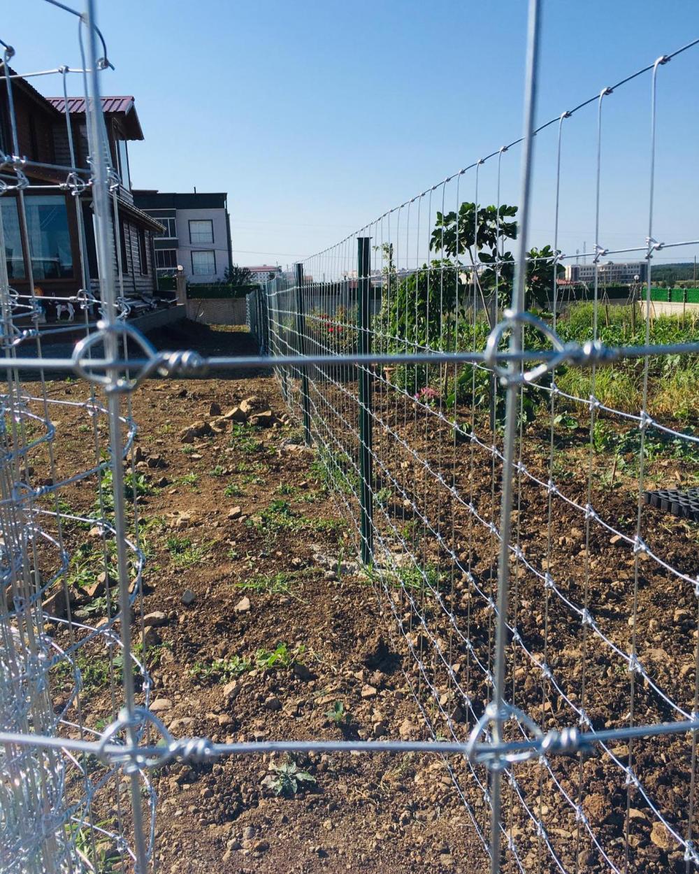 malla de alambre soldado galvanizado para una cerca de jardín