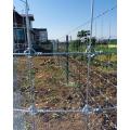 galvanized welded wire mesh for Garden Fence