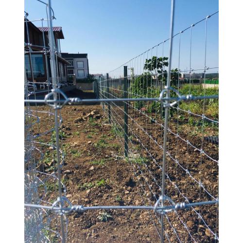 Mois métallique soudée galvanisée pour la clôture du jardin