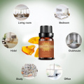 Pure Natural Fragrance Amber Essential oil for Cosmetic