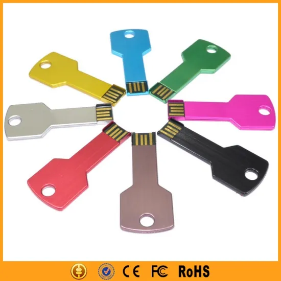 OEM Customized Key Shape Flash Drive Wholesale Bulk USB Key