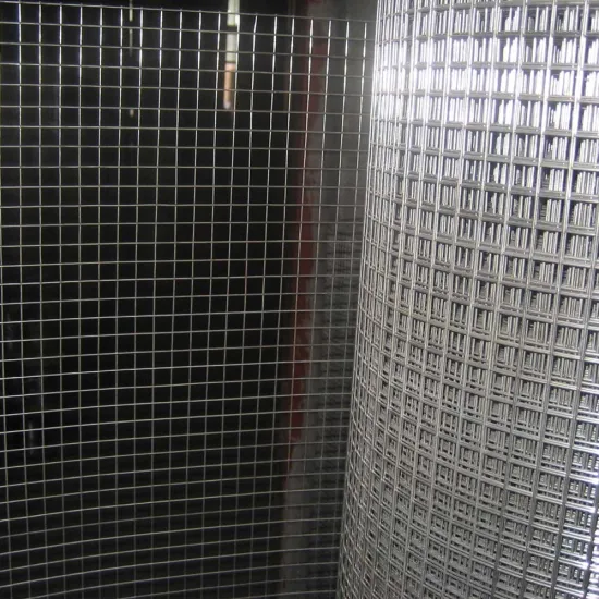 Galvanized Welded Bird Cage Wire