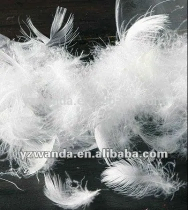 Fresh white washed duck feathers for sale