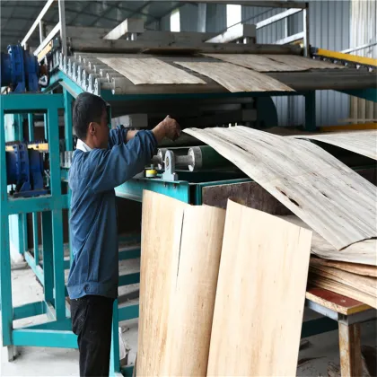 Latest International Pressure Contact Drying Line