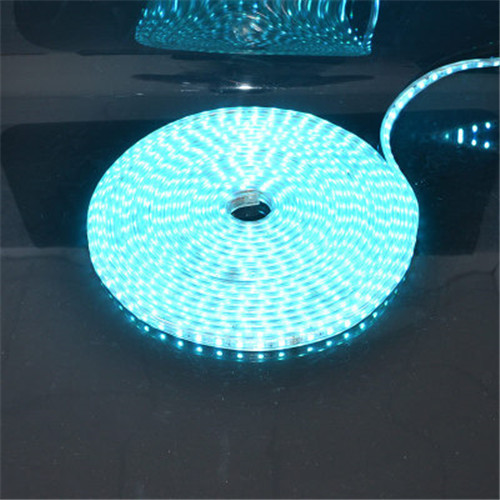 LEDER Outdoor Soft LED Strip Leseli