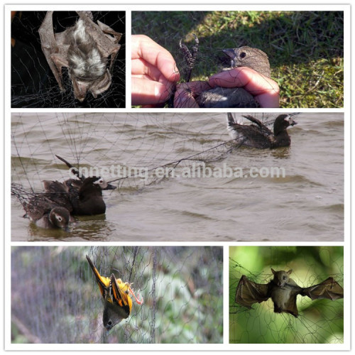 Nettoyant Net de chasse des oiseaux de couleur noire