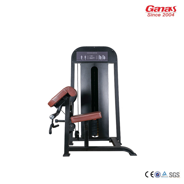 Professional Biceps Curl Machine