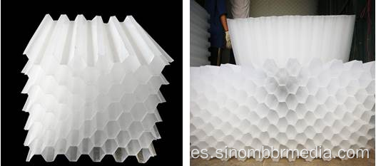 PP Plastic Hexagonal HoneyCom Tube Setler Embalaje