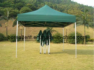 a Variety of Color for Folding Tent (FT-01)