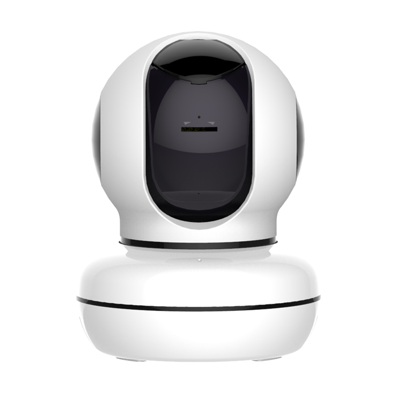 Ip Cameras