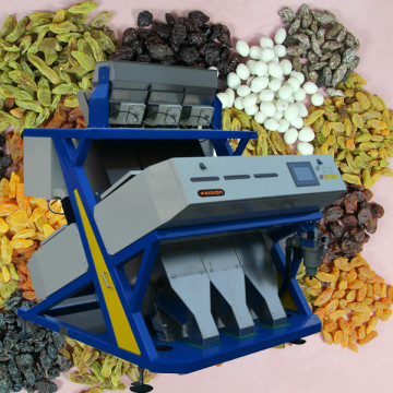 Vision Manufactured Digital Intelligent Vision Dried Currant CCD Color Sorting Machine