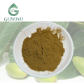Extrato de azeitona para suplementos dietéticos
