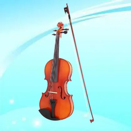 ljy Pleasant Spruce the violin For beginners