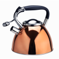 Stainless steel stovetop whistling copper coffee tea kettle