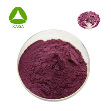 Anti-oxident Purple Cabbage Extract Anthocyanin 10% 35% HPLC