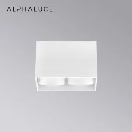 DALI Dimmable Square Mounted Washer Downlight Surface Double Head LED Down Light