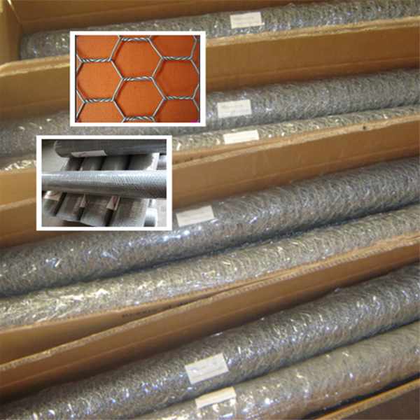 hexagonal wire mesh