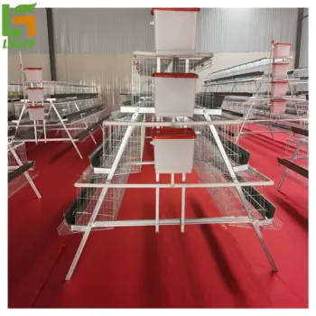 Galvanized Chicken Cages for Laying Hens - Poultry Layer Cage for Sale