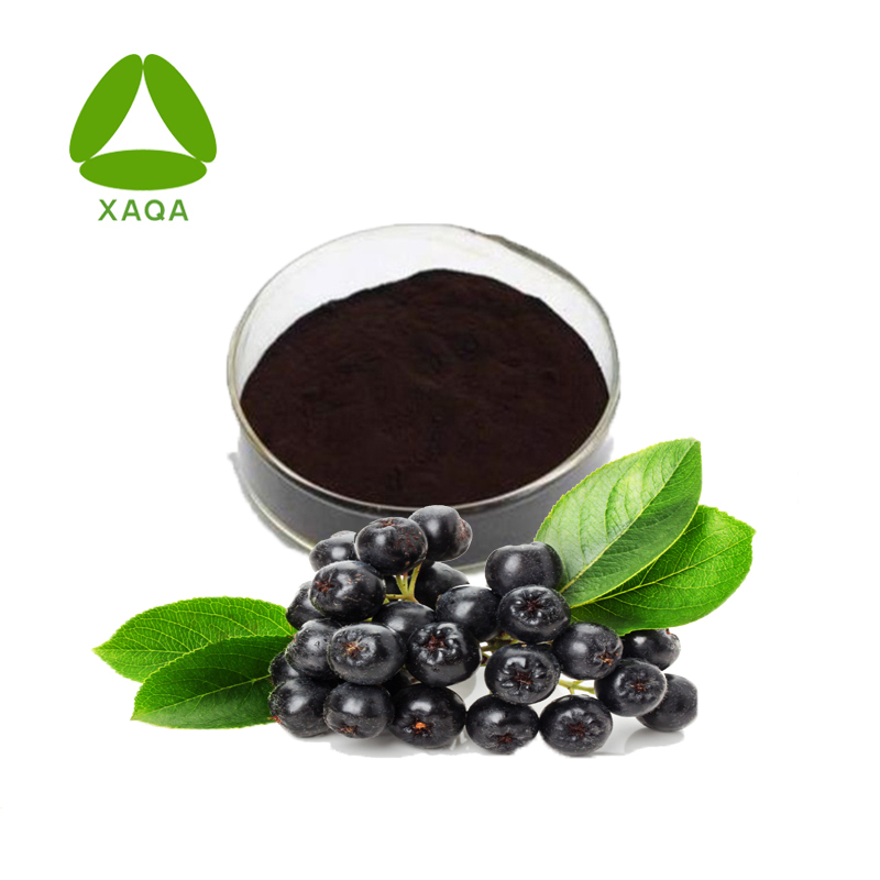 Natural Black Chokeberry Extract Anthocyanins 5% Powder