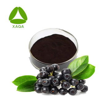 Anthocyanin Ekstrak Chokeberry Hitam Semulajadi 5% Serbuk