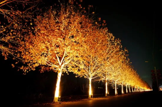 Soft Warm White Lawn Lamp