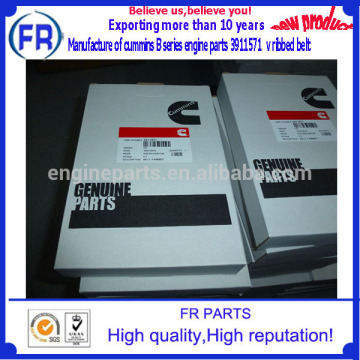 B series engine parts 3911571 v ribbed belt of manufacture belt