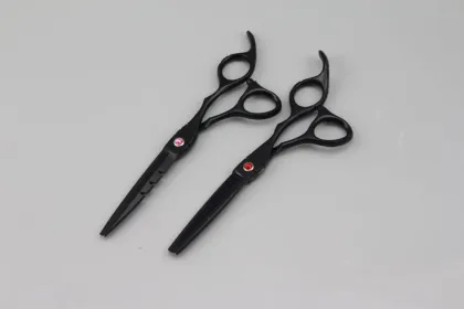 GOLDLLAR 6 Inch Stainless Steel Barber Scissors for Stationery and Haircut