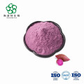 Purple Sweet Potato Powder for Supplement