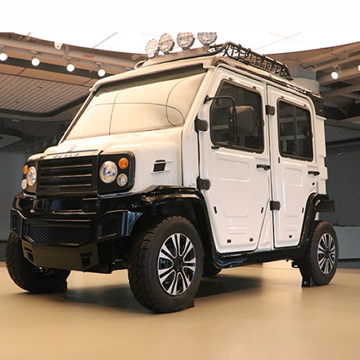 EG New Energy: Custom Street Legal Mini EV Car for Sale