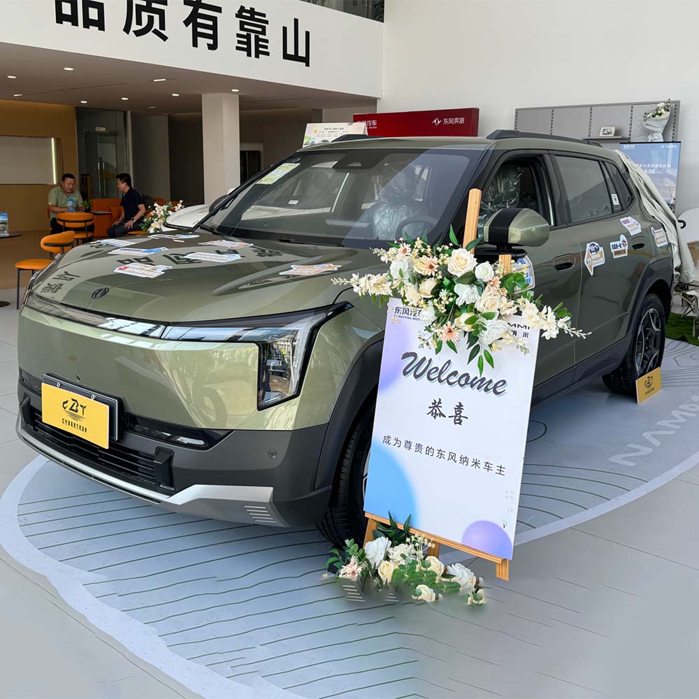 Nano 06 Pure Electric Box