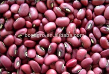 size 2.8mm-4.5mm small red bean