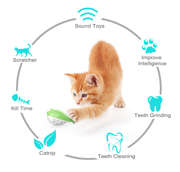 Cat Tooth Cleaning With Voice Details 1