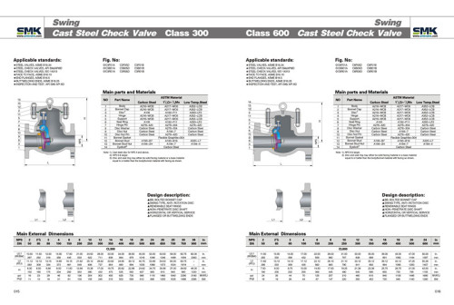 Cast Steek Check Valve (Class 300)