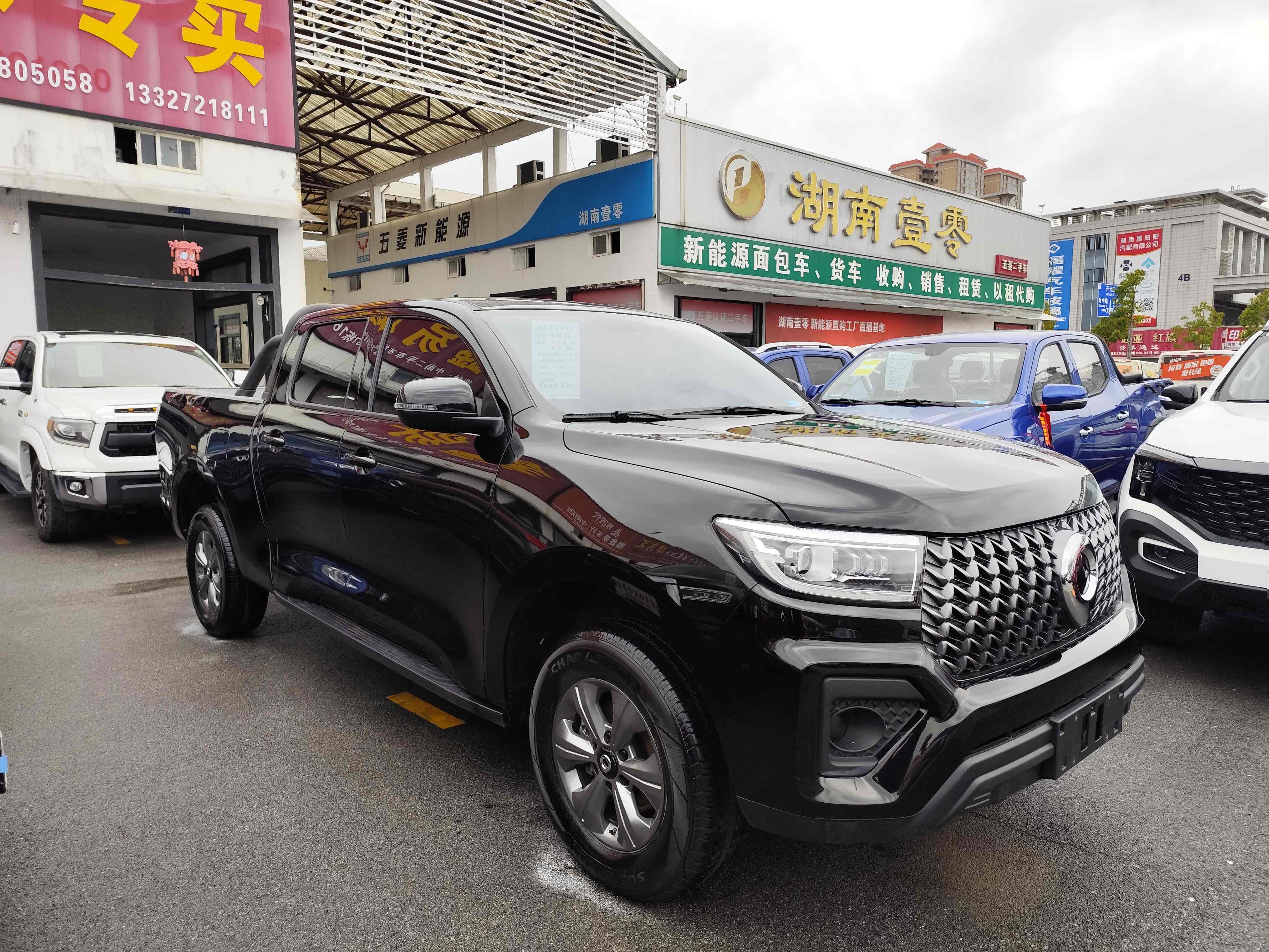 Great Wall Poer (10)
