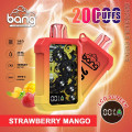 Bang King 20000Puffs Mesh Coil Eshisha Disposable Vape