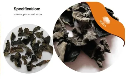 Dried black Fungus mushroom /Wood Ear/ Black Fungi