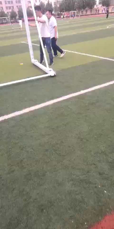 Portable Movable Aluminum Alloy Soccer Goal with Wheels