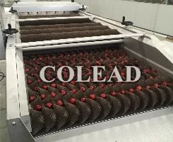 Colead dates elevating machine