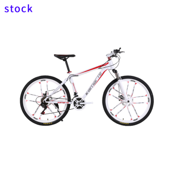 Aventon Depro Japan Used Bicycle E-Road Bike with Aluminum Alloy 6000 and Shock Absorption
