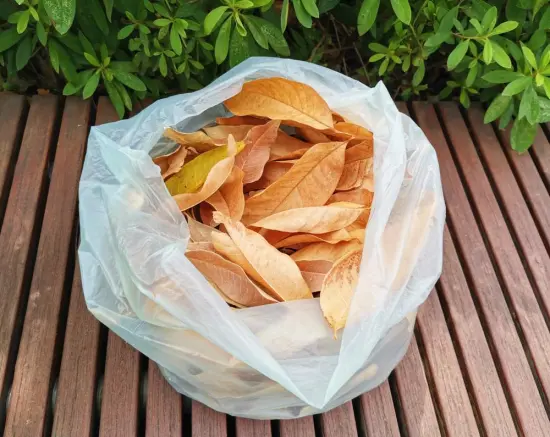 Compostable Garden Leaf Collection Bags For Green Bin