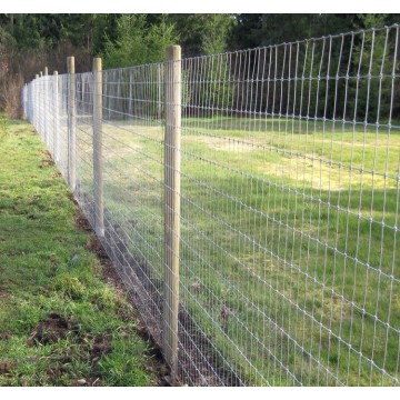 hot dip galvanized farm fence filed fence