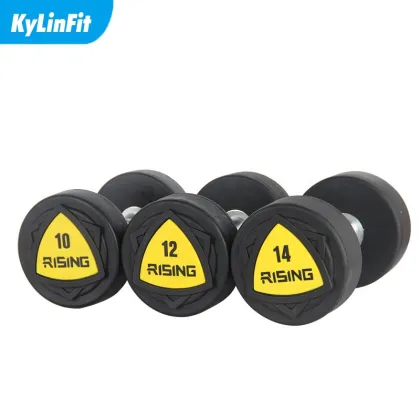 Kylinfit Gym Equipment Round Pro Style Dumbbell Set - Prices and Weights
