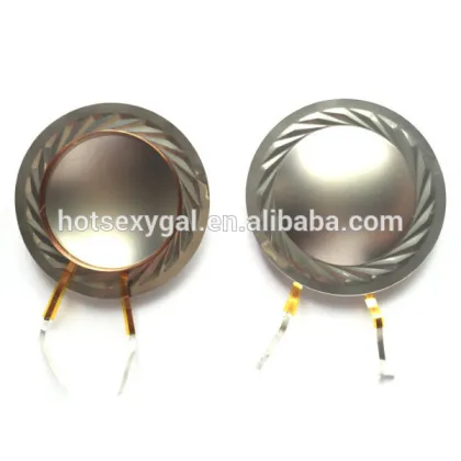 Horn loudspeaker titanium diaphragm voice coil