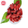 Wolfberry / Lycium Barbarum / Berry goji semulajadi