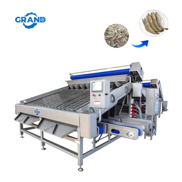 Industrial Shrimp Grading and Prawn Sorting Machine