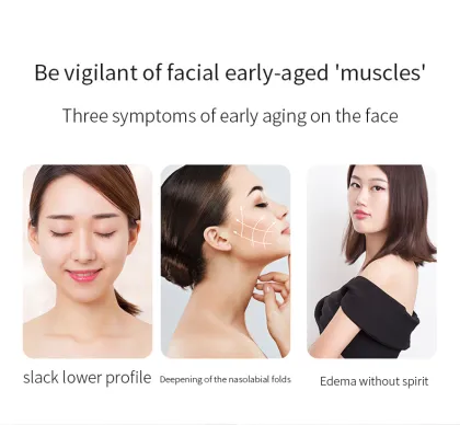 Custom Shaped Facial Massager Portable Gua Sha Tool